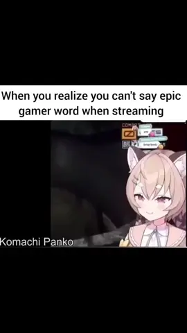 #hololiveclips #vtuberclips #vtuberstreamer