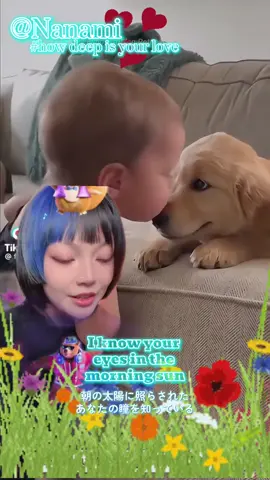 #Nanami #how deep is your love #カバー