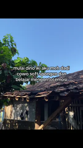#4u #bismillahfypシ #foryoupage #jowostory #masukberanda 