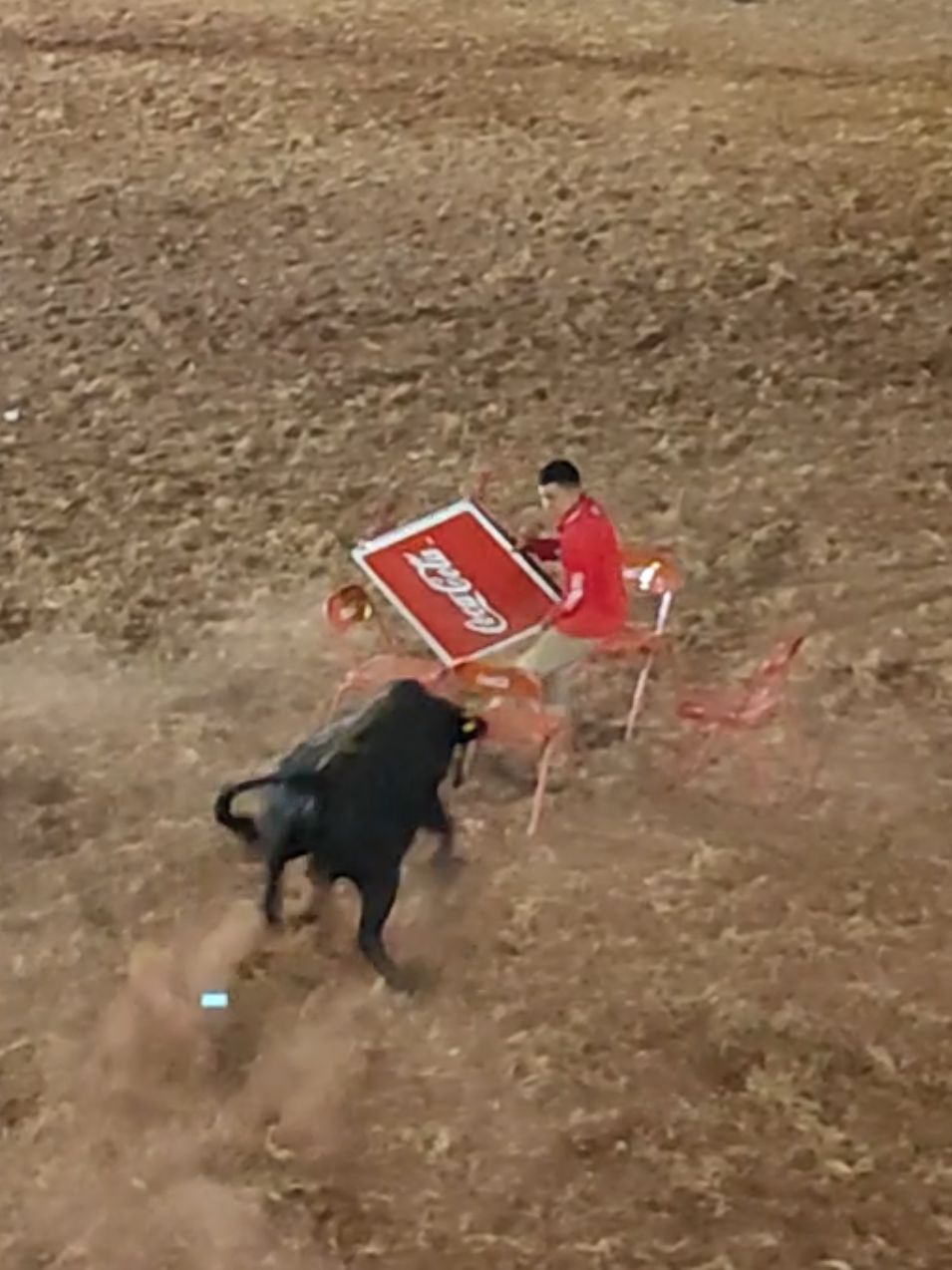 Juego de la silla con un toro bravo, el último que se levante se lleva $5,000 pesos 🐮👌💯 #jaripeo #juegos 
