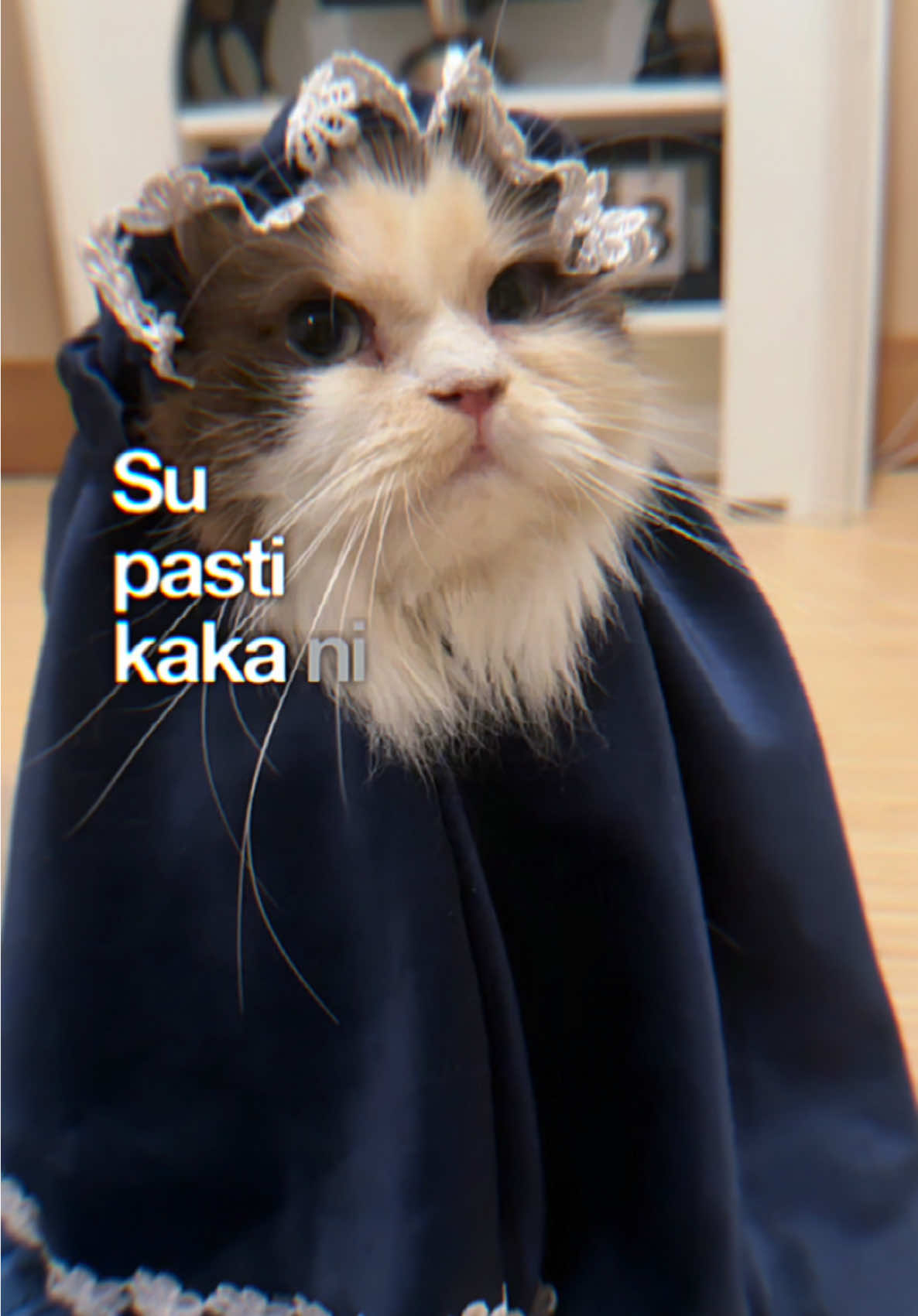 Duluuu masi kici kici kici , ko perfect skali asli bidadari jatuh dari langit 😍 #allahumabarik #CapCut 