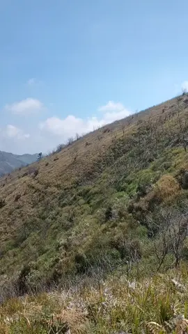 ready jalur tipis2 punggung naga bromo..#rentaltrailbromo #renttrailnongkojajar #sewatrailnongkojajarpasuruan #nongkojajarrentaltrail #jelajahalasbromo 