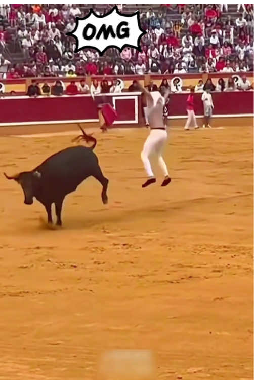 Epic Bullfighting: Unforgettable Showdowns! #bullfighting #funny #crazy #extremesports #highlights 