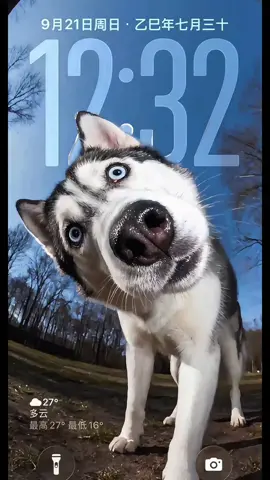 The Husky 3D Stereoscopic Wallpaper Tutorial Viewed by 8 Million People   #ios26wallpaper #huskywallpaper  #capcut #capcutforus #capcutpioneer ios26 wallpaper recommendation | 3D effect | ultra-clear 4K original image Simple settings to make the husky 