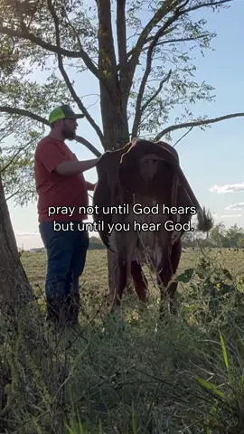 #fyp #foryou #farmer #kentucky #viral 