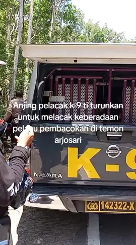 anjingpelacak k9#anjingpelacak #storytime #temonarjosari #pacitan24jam #tnipolri #semogacepatketemu #pembunuhamsadis 