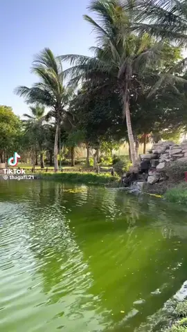 من سنين والعين تتمنى لقاكم من سنين#🌹🌹❤️ 