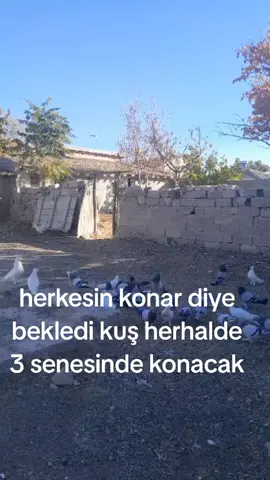 #kesfet #kesfetteyiz #kesfetbeniöneçıkart 