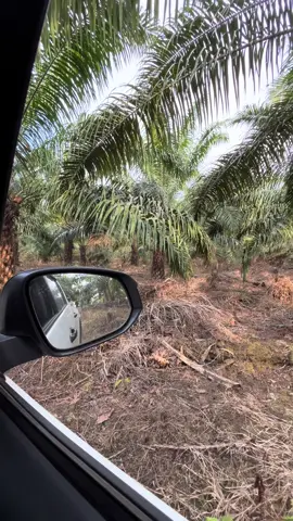 Bismillah 