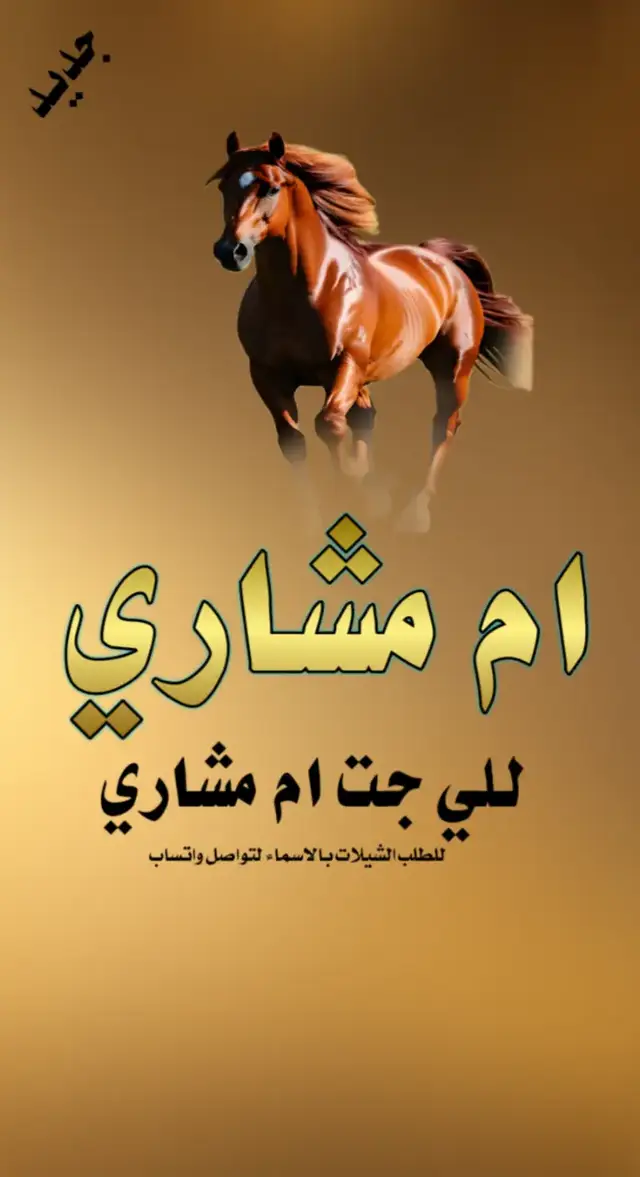 شيلة ام العريس ام مشاري #اكسبلور #اكسبلور explore# السعودية 🇸🇦#الشعب _الصني _ماله _ حل😂😂#for you #you 