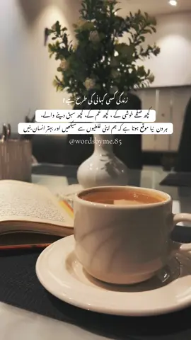 CHAI 🤎 درد لفظوں میں کہاں سمٹتے ہیں ؟  شاعری تو عارضی سا مرہم ہے #chai #poetry #qoutes #fyp #viralvideo 