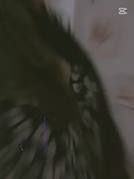 #CapCut 