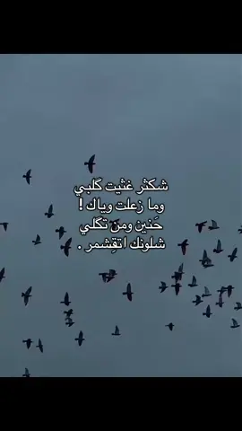 قناتي بالبايو #fyppppppppppppppppppppppp #لايك #اكسبلورexplore #تصميم_فيديوهات🎶🎤🎬 #العراق 