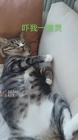 Lo so asik bang😾💯‼️  #meme #memes #absurdhumor #dankmeme  #memeabsurd #funnyvideos #memepage #memesdaily 