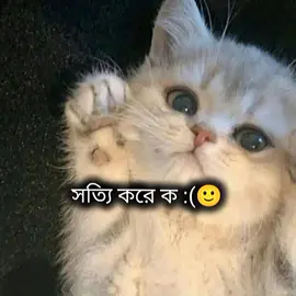 সত্যি করে ক 🙂