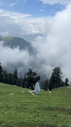🏔️🌲🫀
