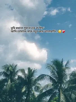 তুমি কখনো পুরনো হবে না প্রিয়