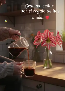 Gracias señor por el regalo de hoy 
