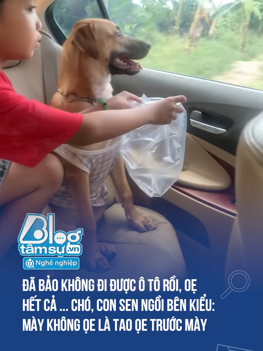 Đã bảo không ngồi được ô tô rồi #discovery #blogtamsu #xuhuong #btsmedia #tiktoknews #funfact #viral #haihuoc #cho