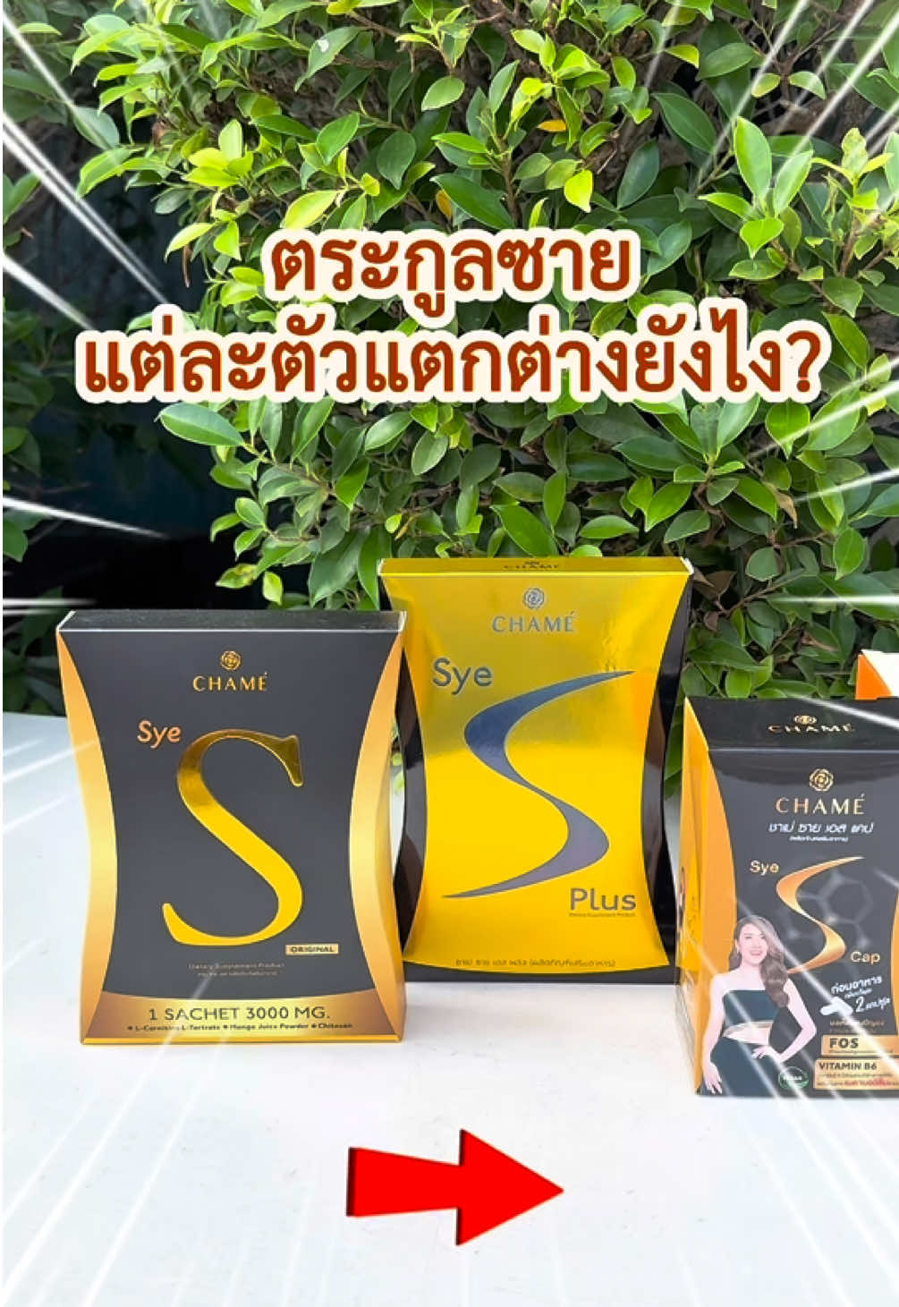 ตระกูลซาย เเต่ละตัวต่างกันยังไง?? #ชาเม่ #chamethailand #ชาเม่ซายเอสแคป #ชาเม่ซายเอสพลัส #ชาเม่ซายเอสออริจินัล 