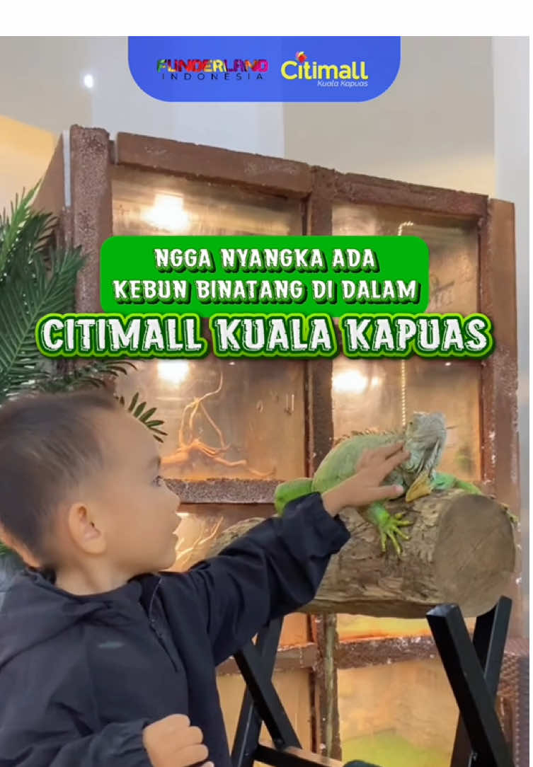 5 TIKET GRATIS UNTUK SOBAT ZOO DI KUALA KAPUAS🦜 Yang ditunggu-tunggu Sobat Kualakapuas, Jungle Zoo Resmi Dibuka mulai 27 September 2025😍 Dapatkan Tiket Gratis Untuk 5 Orang Pemenang. Caranya : 1. Follow Instagram @funderlandindonesia  2. ⁠Share Postingan ini ke Instagram Story lalu tag @funderlandindonesia (pastikan akunmu tidak diprivat) 3. Tulis dikolom komentar alasan kenapa kamu pengen banget main ke Jungle Zoo. Jangan Lupa tag 3 teman kamu yaa! Jungle Zoo Buka setiap hari! ⏰Jam Buka 10.00 - 22.00 WIB 💸Harga Tiket/Orang •Weekday 60.000 •Weekend 70.000 👶🏻Gratis untuk anak dengan tinggi badan dibawah 80cm ⏳Durasi main sepuasnya 🧦Wajib Kaos Kaki Ayo jadi yang pertama menyapa mereka!🦒 📍Citimall Kuala Kapuas Jl. Trans - Kalimantan, Selat Dalam, Kec. Selat, Kabupaten Kapuas, Kalimantan Tengah 73516 #funderlandindonesia #kualakapuas #kalteng #minizoo  #satwa   