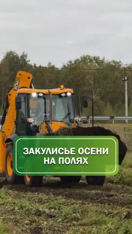 На нашем участке сейчас идёт активное закрытие сезона: техника и команда работают в полную силу, чтобы земля “отдохнула” и набралась сил к весне. Сегодня мы: 🔸 убираем старые посадки маточников садовой земляники 🍓, 🔸 скашиваем ботву, 🔸 снимаем плёнку и систему капельного полива, 🔸 вывозим всё с поля и разбираем бугры. Так мы сохраняем плодородие почвы и готовим её к новым посадкам 🌱. ✨ Заботимся о нашем поле, чтобы в будущем году радовать вас богатым урожаем.