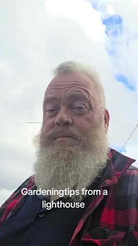 Finnally no wind and I wanted to give you this excellent tip for an easy herb-garden but this helicopter keeps following me. I think he just wants to sabotage my video. #LearnOnTikTok #tutorials #fyr #fyp #garden