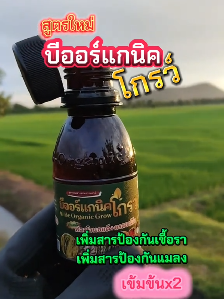 สูตรใหม่!! บีออร์แกนิคโกรว์ เพิ่มสารป้องกันเชื้อราและเพิ่มสารป้องกันแมลงครบจบในขวดเดียว #บีออร์แกนิคโกรว์  #บีออร์แกนิคพลัสอาหารเสริมพืช #บีออร์แกนิค #ส่งฟรี #มีเก็บปลายทาง 