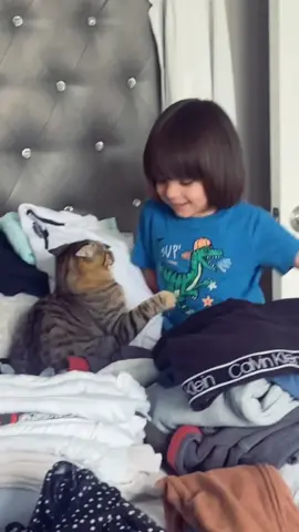 In fact,cats don’t usually like children #catsoftiktok #usa🇺🇸 #tiktok #funny #cat 