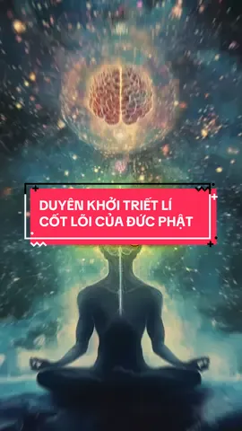 DUYÊN KHỞI TRIẾT LÍ CỐT LÕI CỦA ĐỨC PHẬT #hocphat #buddha #phatphap #phatgiao #tutaptaigia 