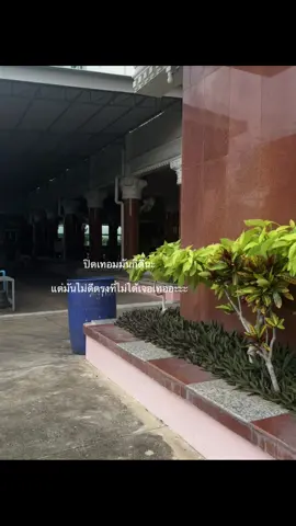 🥲#ฟีด #ดันขึ้นฟีดที #เปิดการมองเห็น #เธรดคลั่งรัก #fyp 