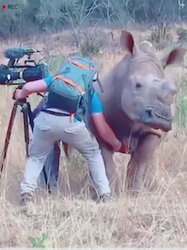 Animals always love photographers #LanguageLearning #photo #animals #cute #usa 