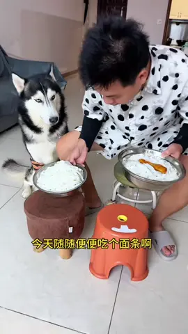 #粉丝一千万#dog#funny#foryou#fyp 