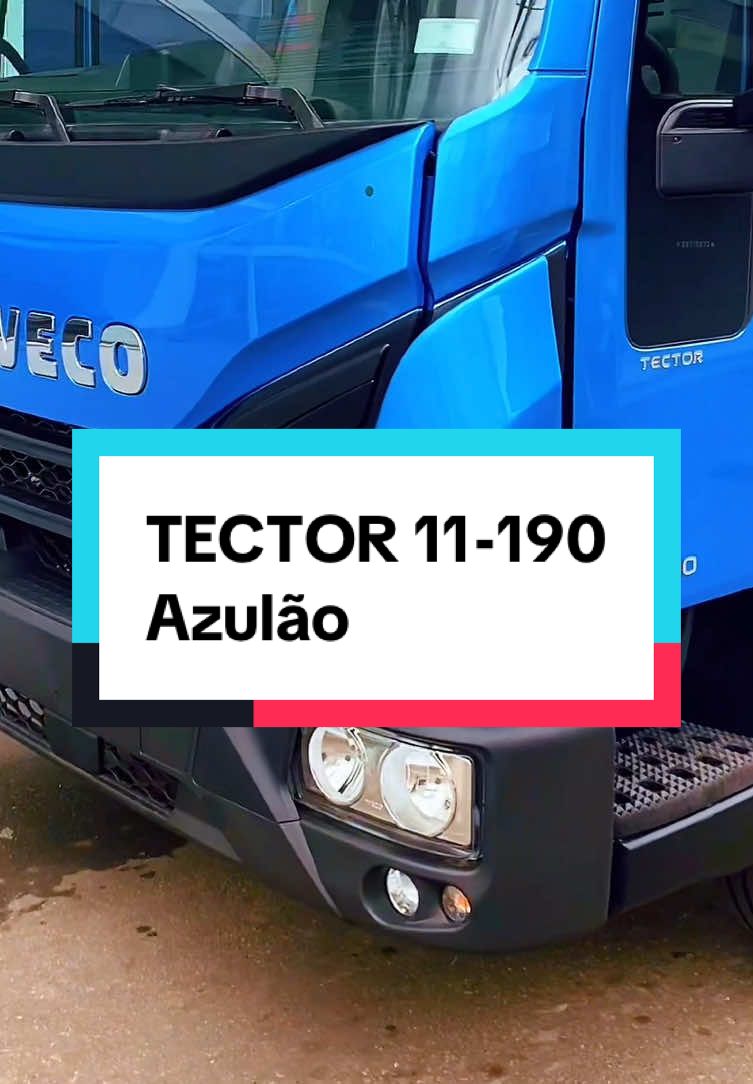 Pense numa cor que ficou bonitinha nesse Tector 11-190? 🚛🧩#caminhaoqualificado #IvecoTector #Diesel #caminhão34 