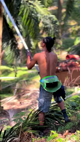 #sawittiktok🌴🌴🌴 #pyfツ 