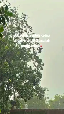 🀄 #sawittontiktok #storytruk #fyp #trukmodifikasi 