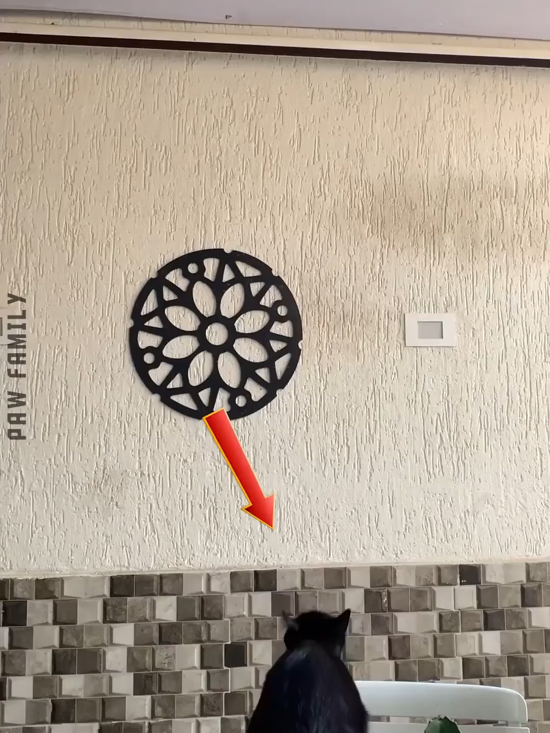 #foryou #fyp #meme #divertido #gracioso #pet #funnyvideos #dog #cat #猫おもしろ #アテレコ #funnyanimals #dogsoftiktok #catsoftiktok