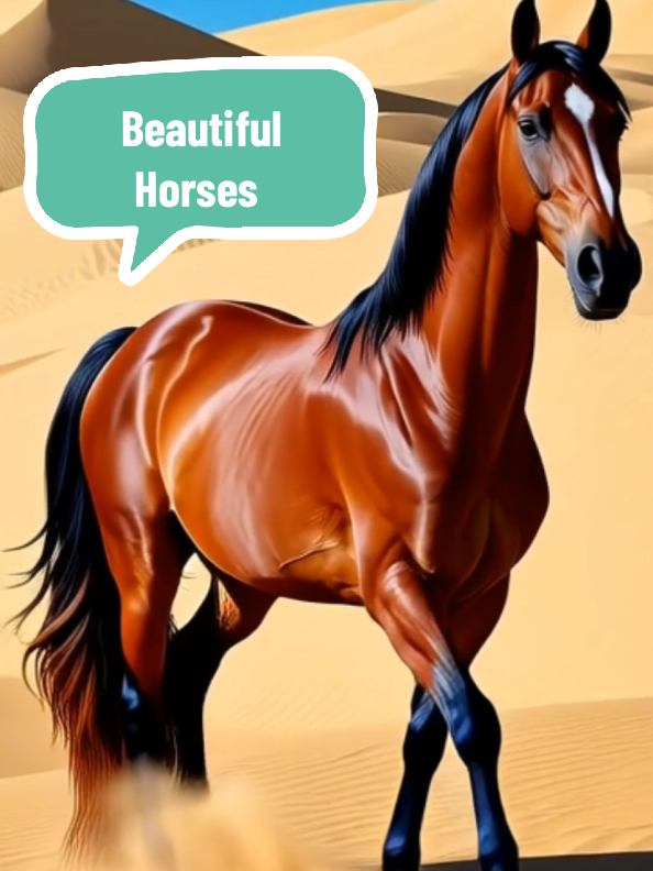 Beautiful Horses Galloping. Horse Galloping. Galloping horse. Horse enjoy freedom. Horse, Horses, horse lovers. #nature #horse #horses #gallopinghorse #horsesoftiktok 