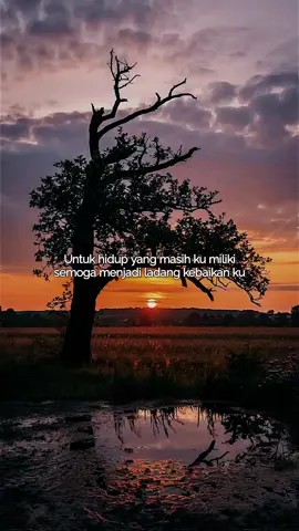 #quotestory_ #storyy_whatsapp # #status_whatsapp 