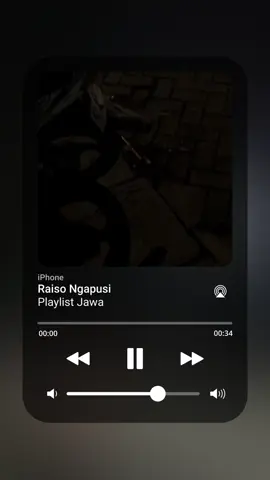 Raiso Ngapusi #raisongapusi #playlist #laguviral #playlistjawa 