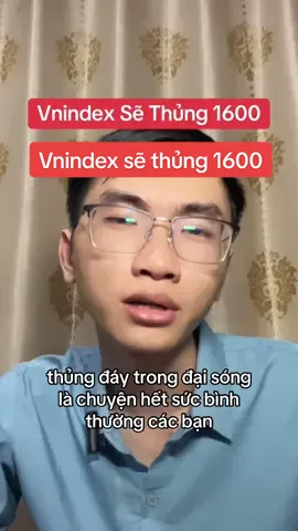 Vnindex sẽ thủng 1600 #daodautu #cổphiếu 