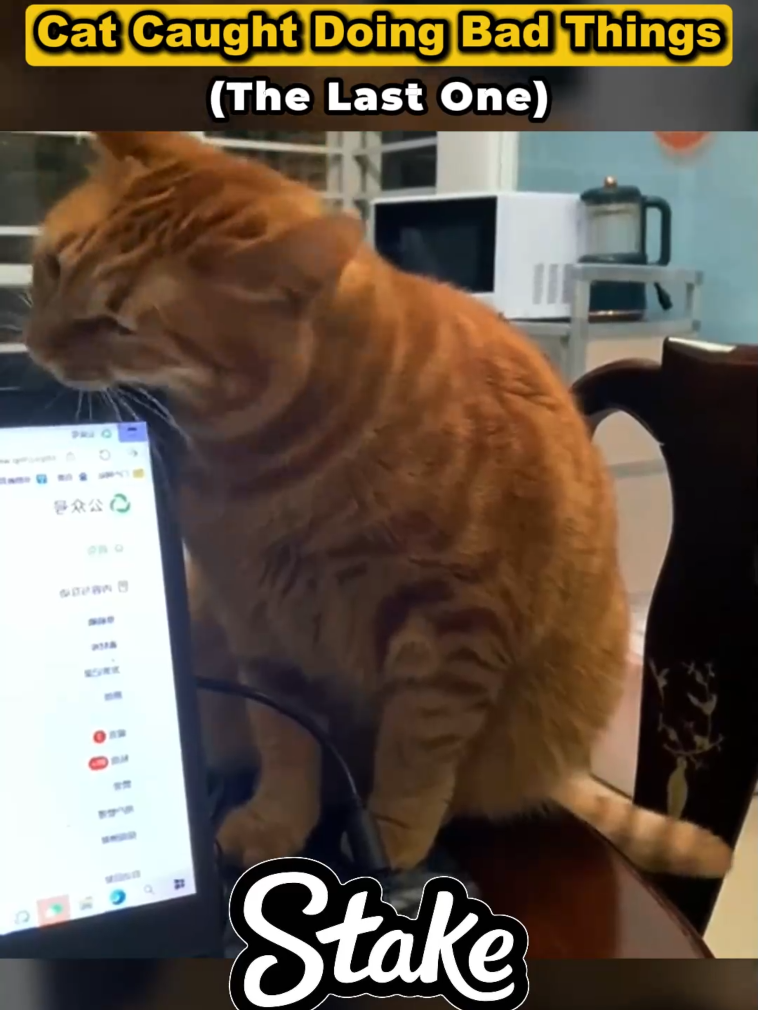 Cat caught doing something bad 😂🤯 #edit #trending #ranking #trollface #foryoupage #fyp  #JhoanDuran #MLBTradeDeadline #Phillies #BaseballUpdates #SportsNews