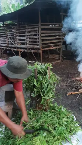 cacah rumput manual , pakai bahan  seada nya .. #peternaksukses  #peternakmuda  #goat  #kambing 