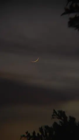 Seneng banget hari ini ga mendung jadi bisa liat bulan sabit secantik ini 