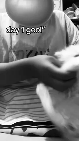 #cat #kitten #fyp #day1 