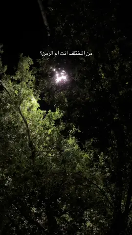 #اكسبلور #greenscreen 