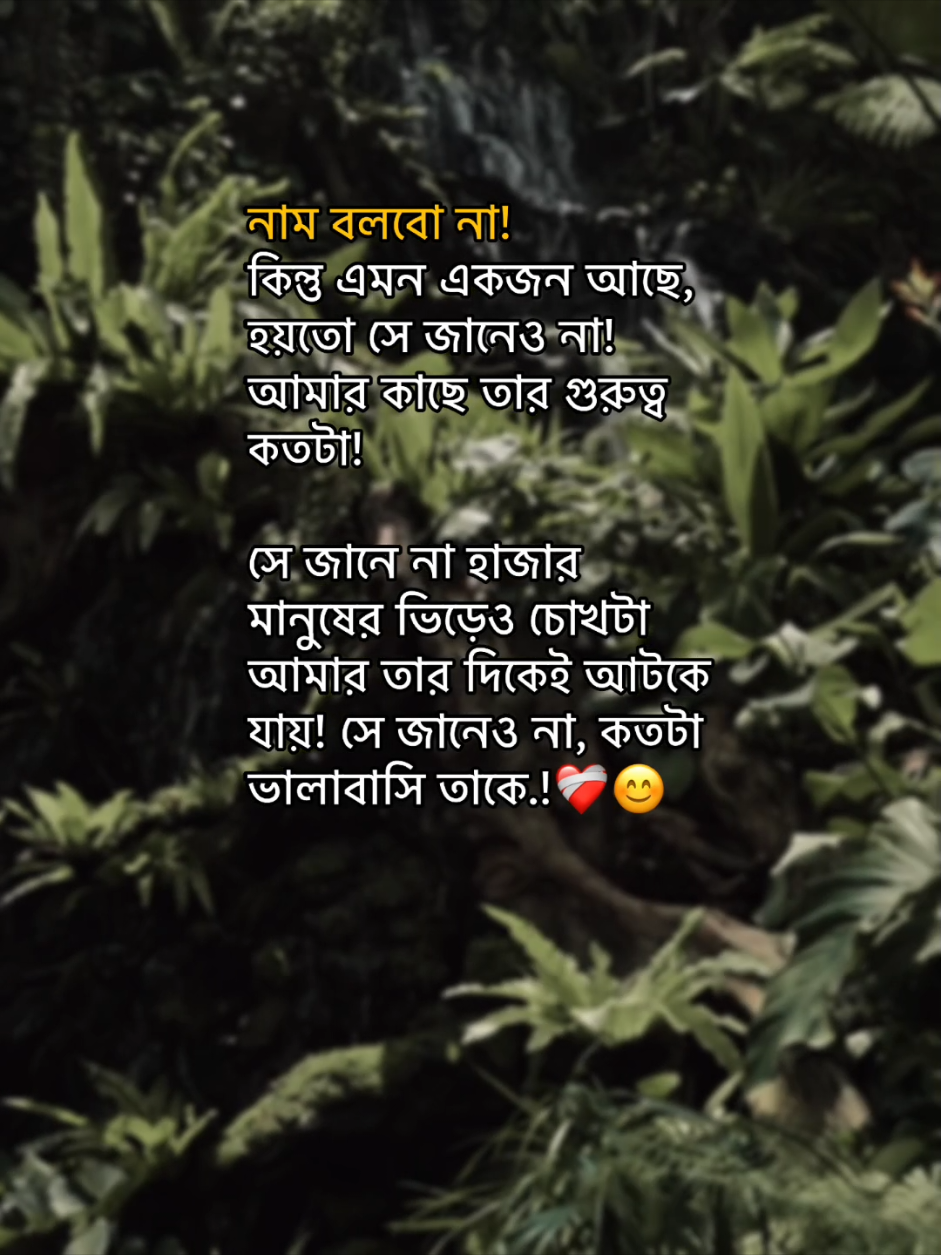 নাম বলবা না! কিনल এমন একজন আছে! হয়তো সে জানেও না আমার কাছে তার গুরুত্ব কতটা! সে জানে না হাজার মানুষের ভিড়েও চোখটা আমার তার দিকেই আটকে যায়! সে জানে না, কতটা ভালাবাসি তাকে.!❤️‍🩹😊#foryou #fyppppppppppppppppppppppp #viralvideo #bdtiktokofficial #siam__jr01 @TikTok Bangladesh 