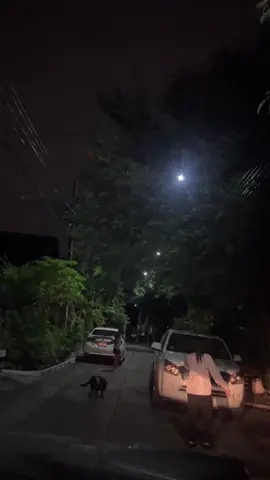 ปัญหาโลกแตกของฉันกับรถในซอยบ้าน #นกยูงอยากเป็นนักรีวิว #เทรดวันนี้ #จอดรถขวางหน้าบ้าน #เพื่อนบ้าน 