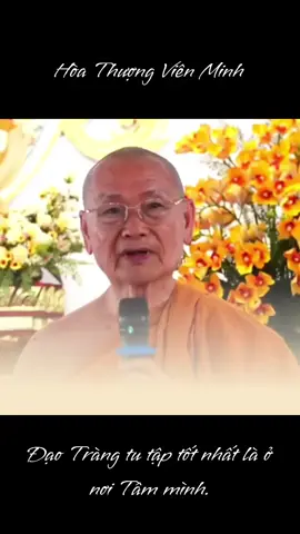 Đạo Tràng tu tập tốt nhất là ở nơi Tâm mình. Hòa Thượng Viên Minh  🌿 Tùy Duyên thí Pháp - Hữu Duyên đón nhận #htvienminh #hoathuongvienminh #nammobonsuthichcamauniphat #daophat #phatphap 