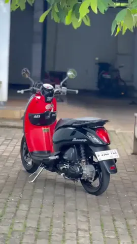 🙂‍↔️#scoopy#scoopymodifikasi#userscoopy#scoopypropperindonesia#apaajako🤙 